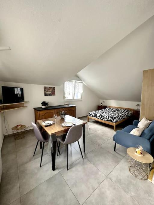 Studio Tout Equipe Aux Pieds Des Vosges Leimbach Экстерьер фото
